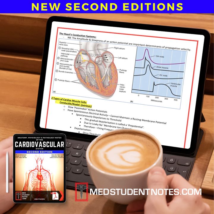 get_the_best_Cardiovascular System_ad