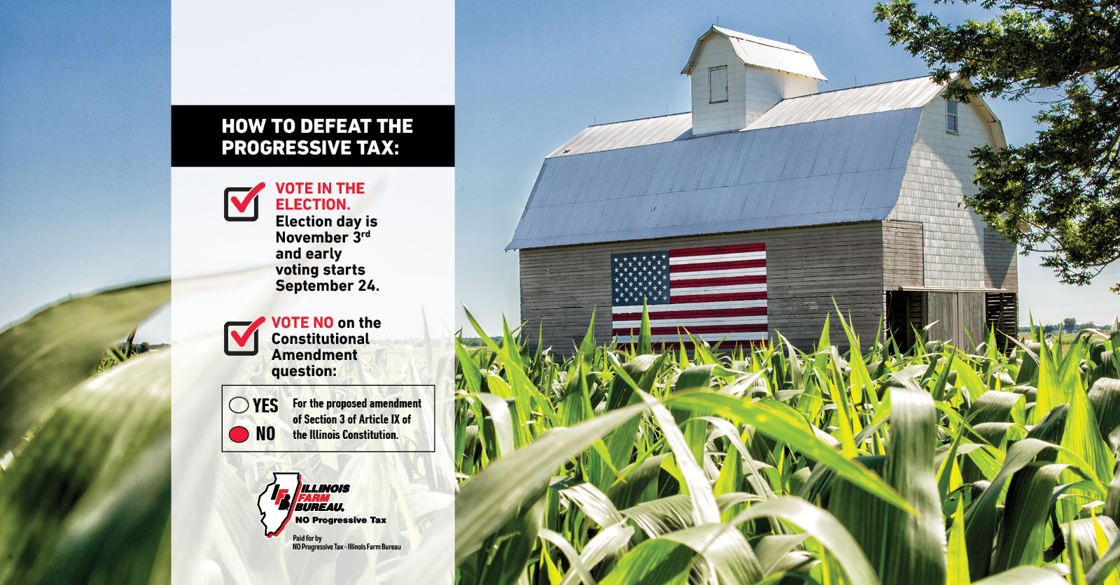 get_the_best_Constitution_ad