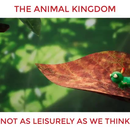 get_the_best_Animal Kingdom_ad