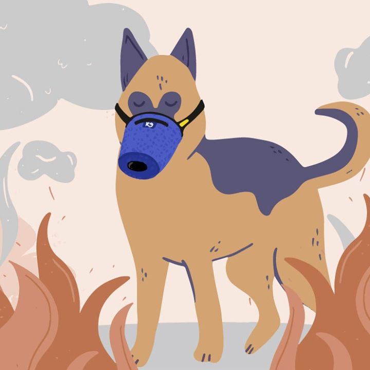 get_the_best_Air Pollution Mask N95_ad