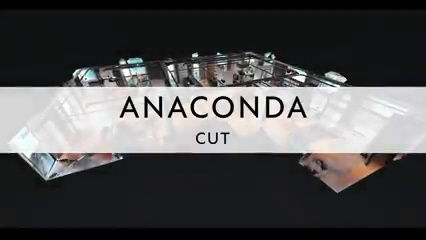 get_the_best_Anaconda_ad