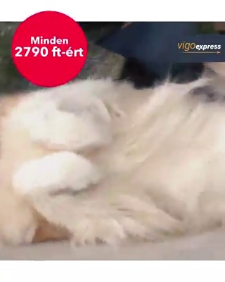 get_the_best_Animalis_ad