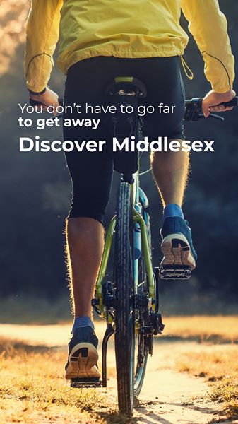 get_the_best_Aapl_ad
