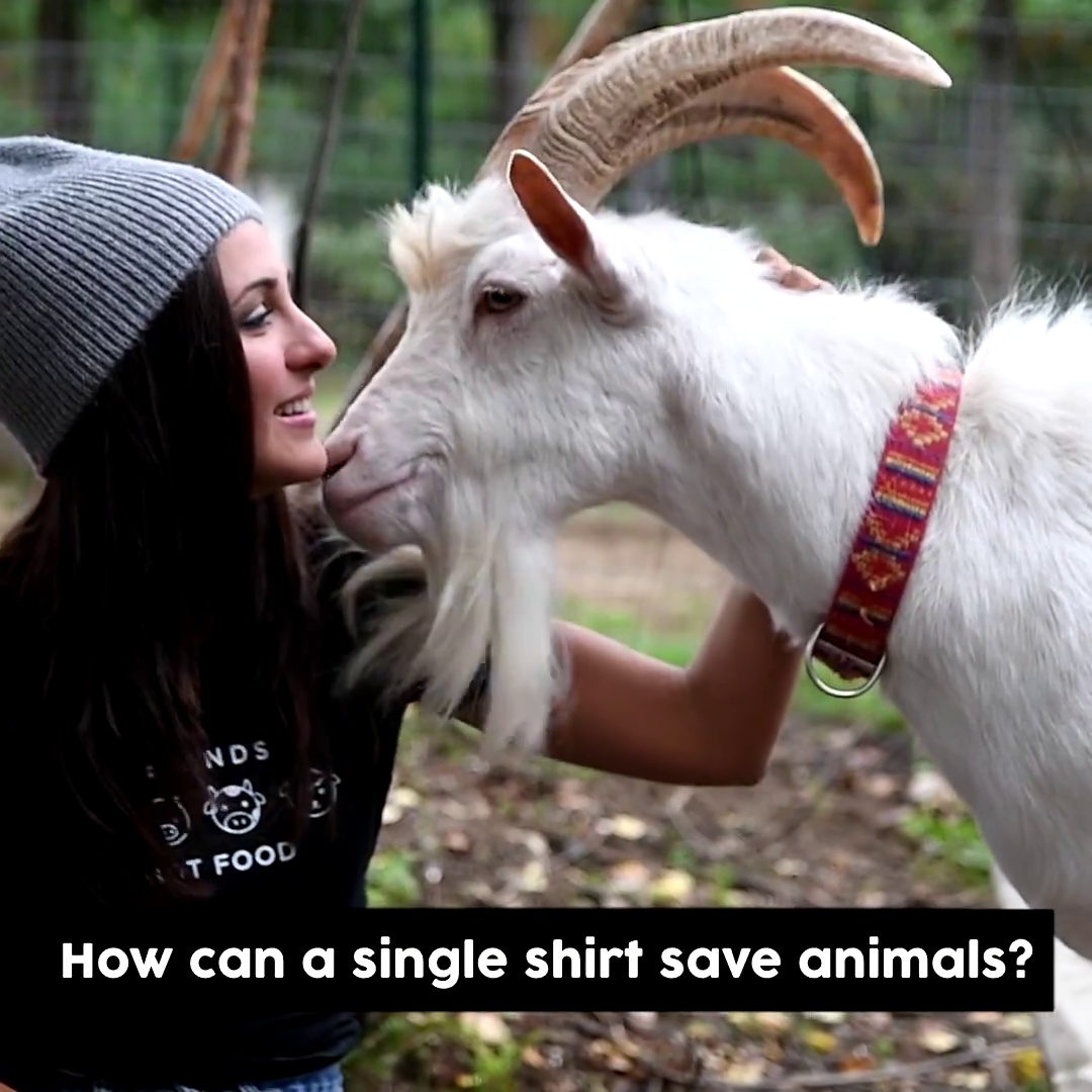 get_the_best_Hoodies For Women_ad