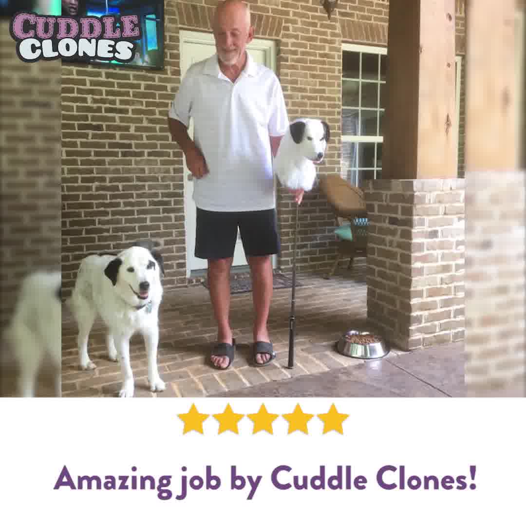 get_the_best_Cuddle_ad