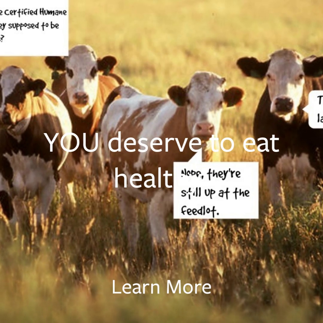get_the_best_Antibiotics_ad
