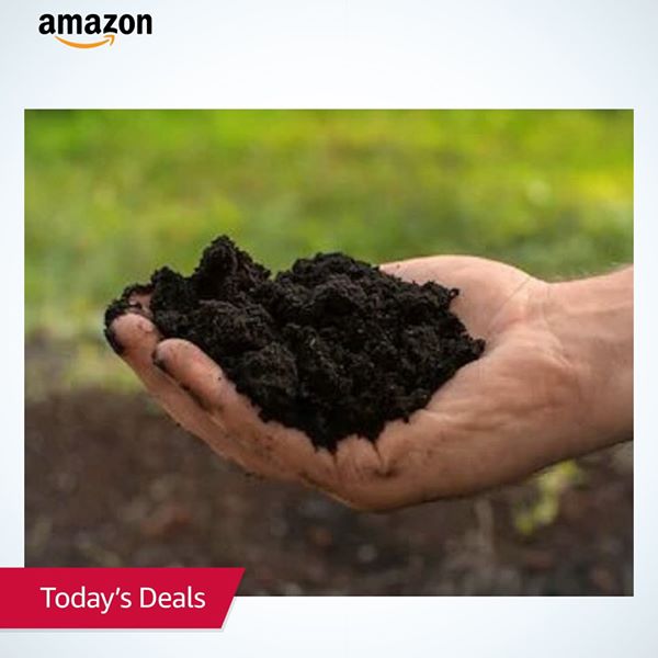 get_the_best_Amazon_ad