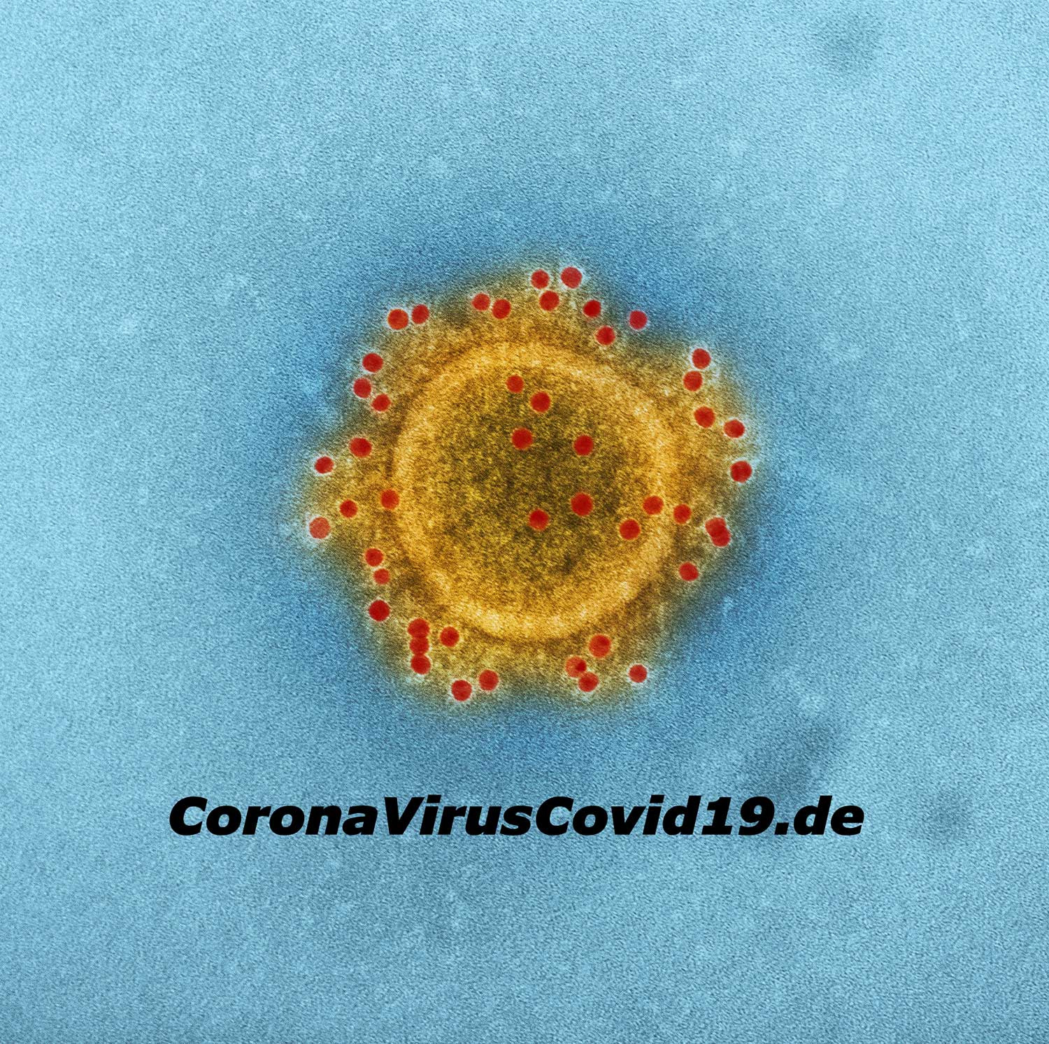 get_the_best_Coronavirus Sars_ad