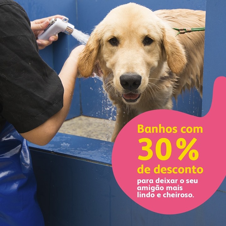 get_the_best_Animal_ad