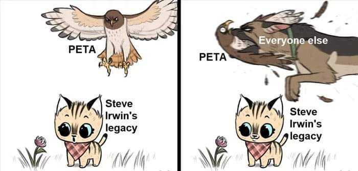 get_the_best_Animals_ad