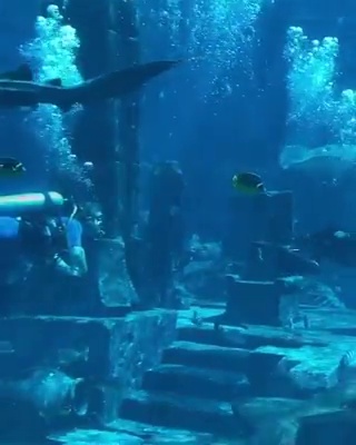 get_the_best_Aquarium_ad