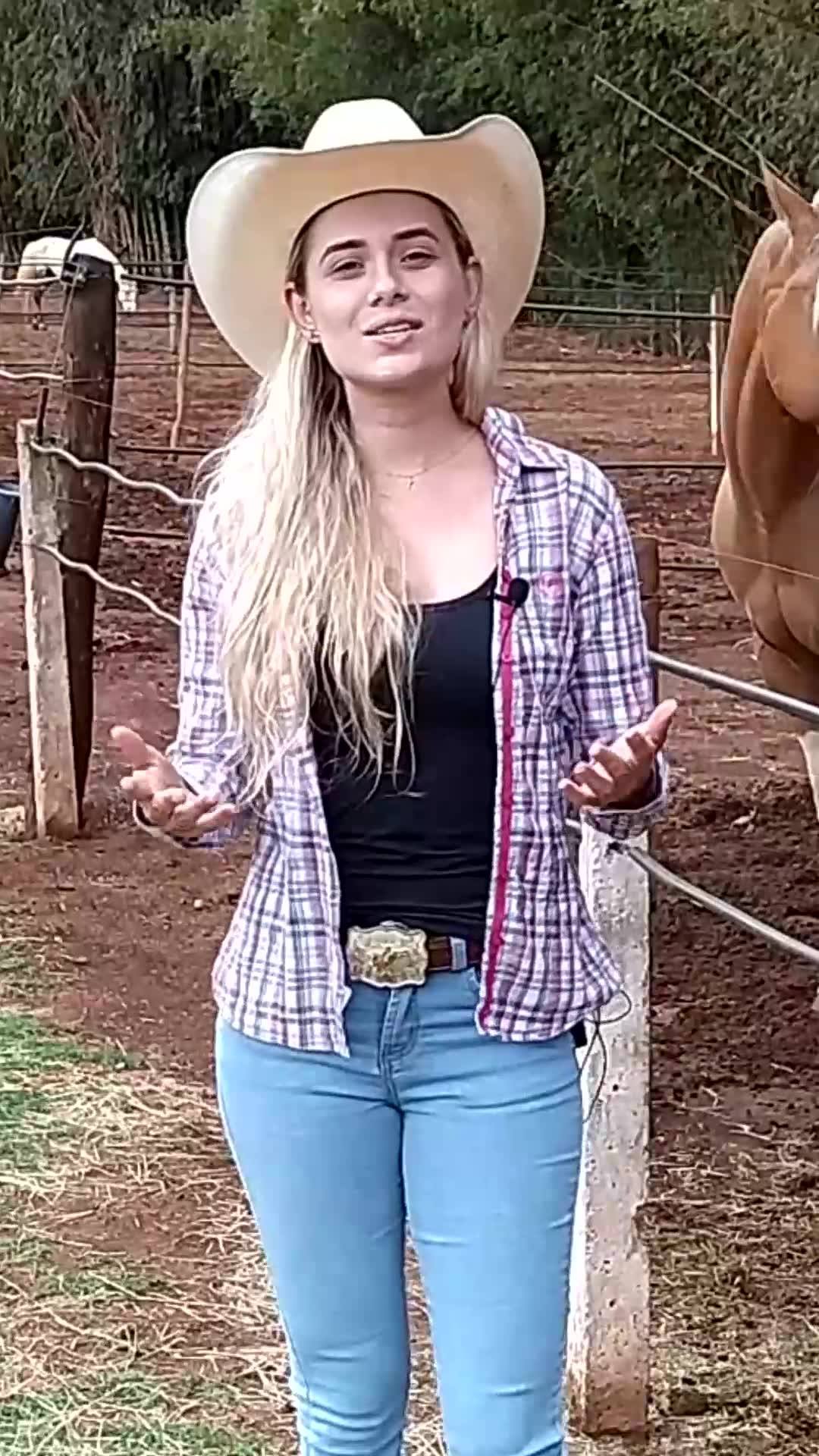 get_the_best_Cavalo_ad