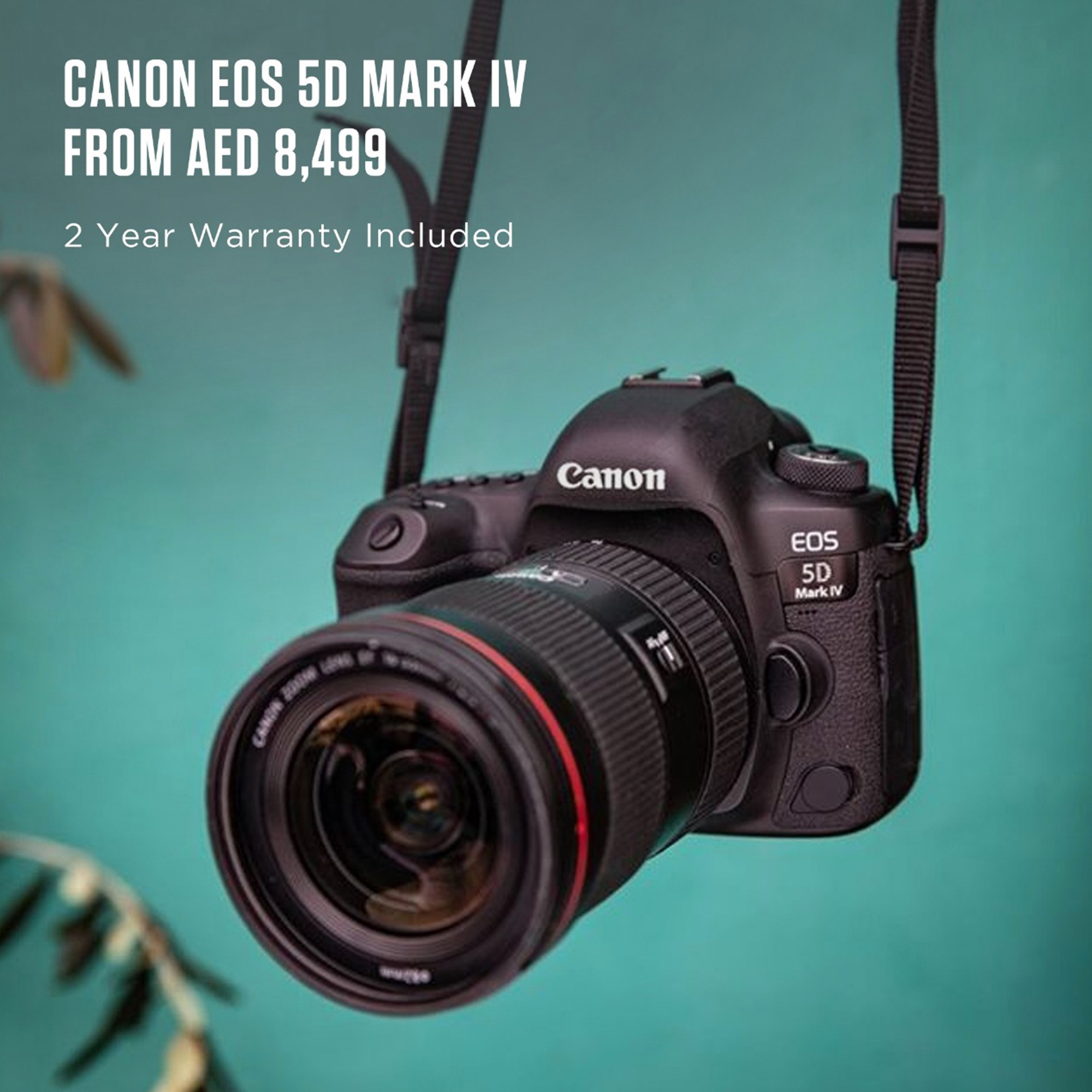 get_the_best_Canon 5D Mark Iv_ad