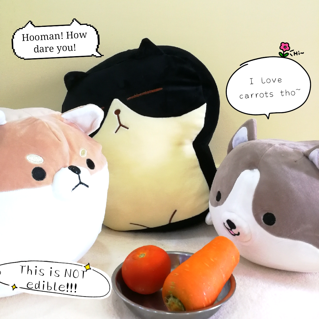 get_the_best_Animals_ad