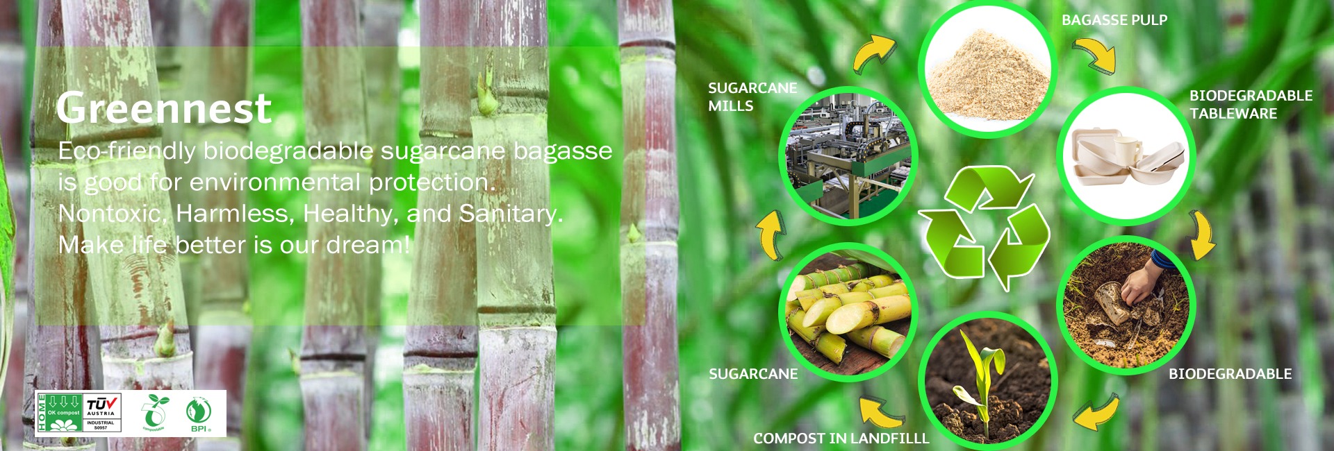 get_the_best_Cornstarch_ad