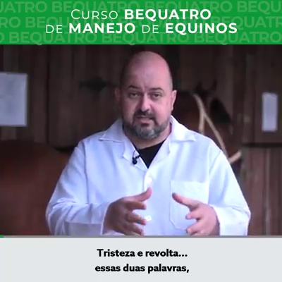 get_the_best_Cavalo_ad