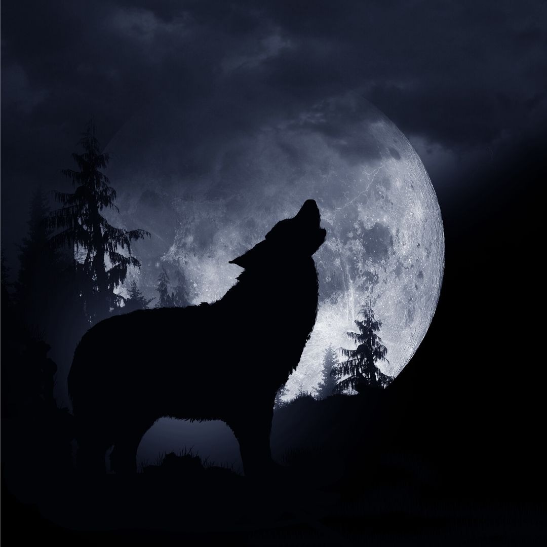 get_the_best_Howling Moon_ad