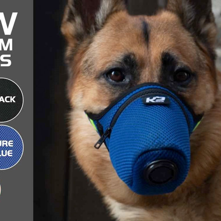 get_the_best_Air Pollution Mask N95_ad