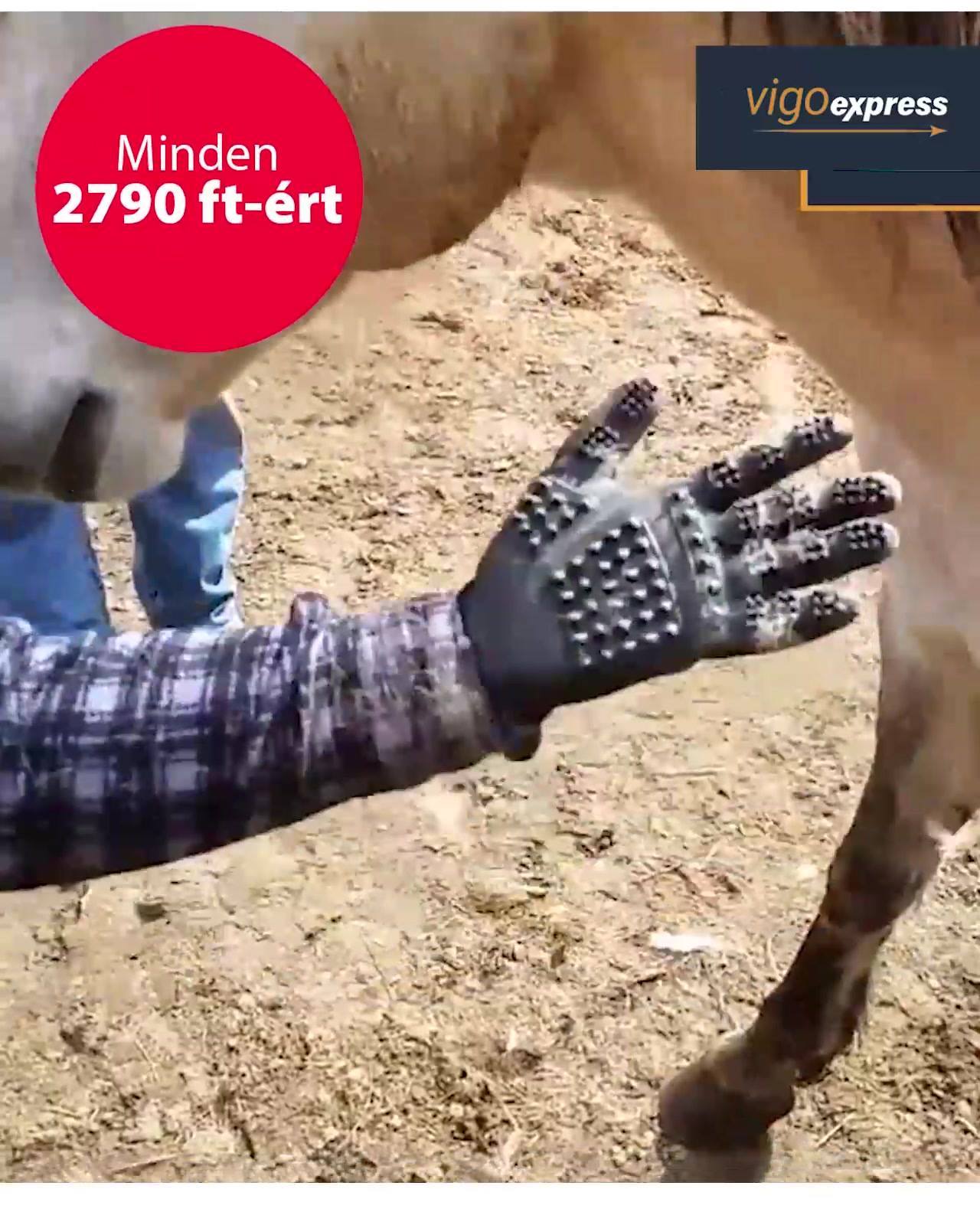 get_the_best_Animalis_ad