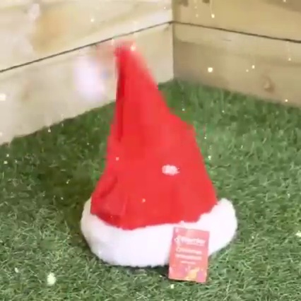 get_the_best_Christmas Hat_ad