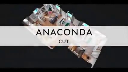 get_the_best_Anaconda_ad