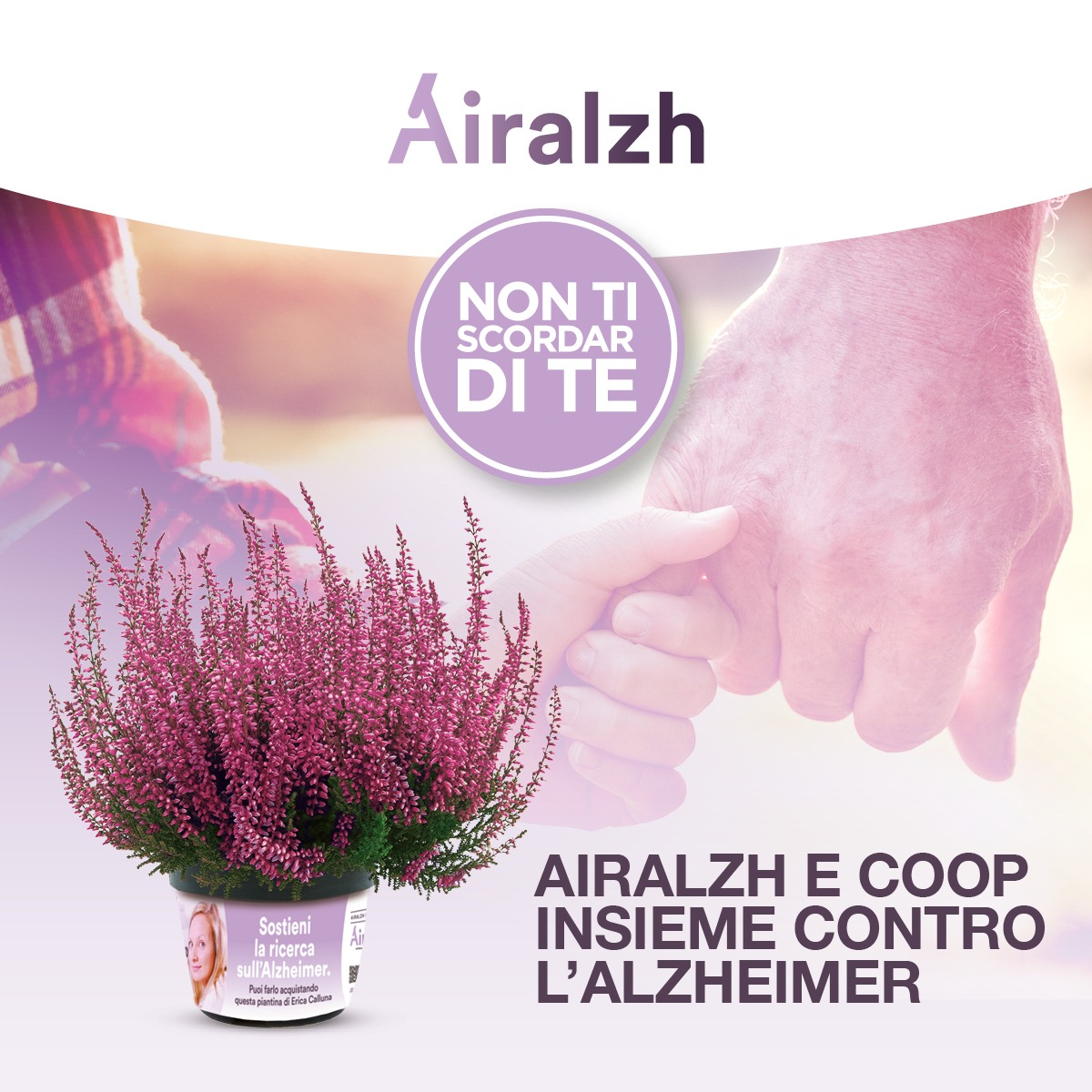 get_the_best_Alzheimer_ad