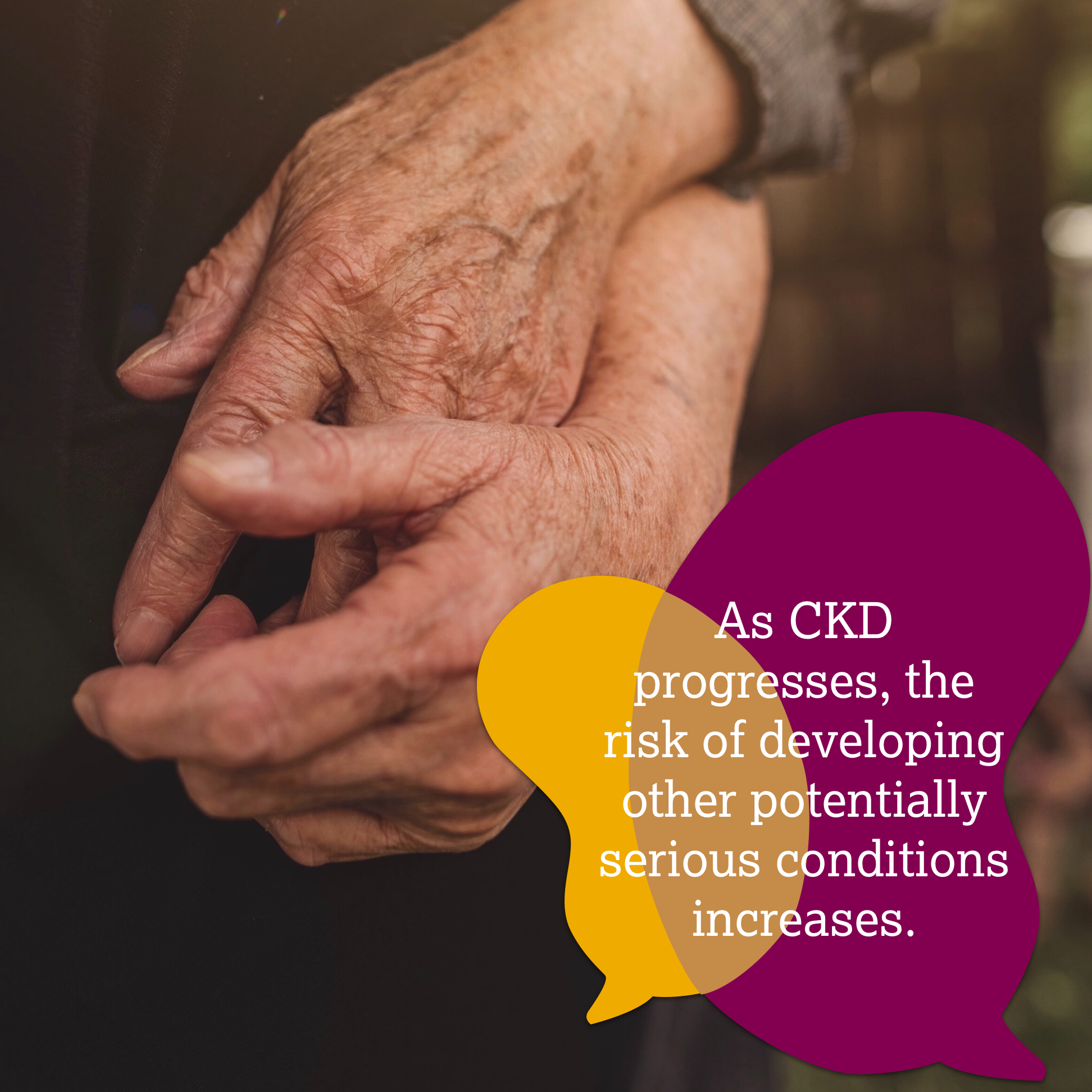 get_the_best_Ckd_ad