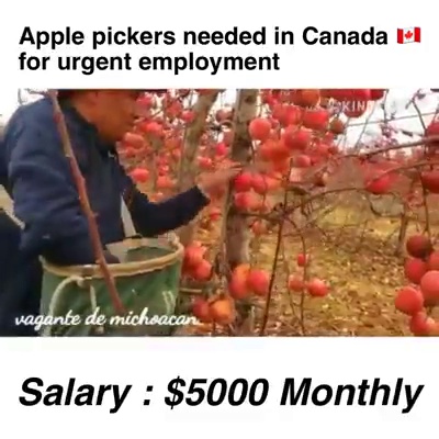 get_the_best_Apple Canada_ad