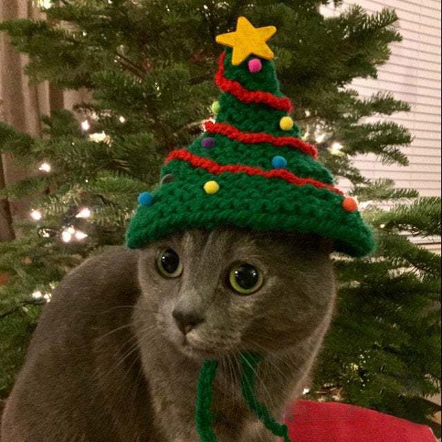 get_the_best_Christmas Hat_ad