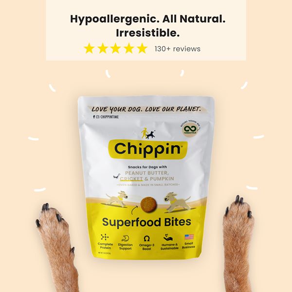 get_the_best_Hypoallergenic Dog_ad
