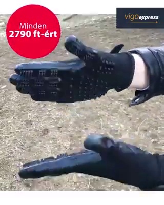 get_the_best_Animalis_ad