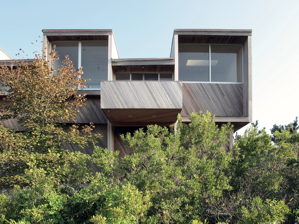 get_the_best_Architecture_ad