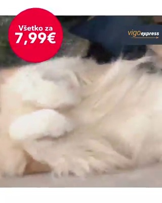 get_the_best_Animalis_ad