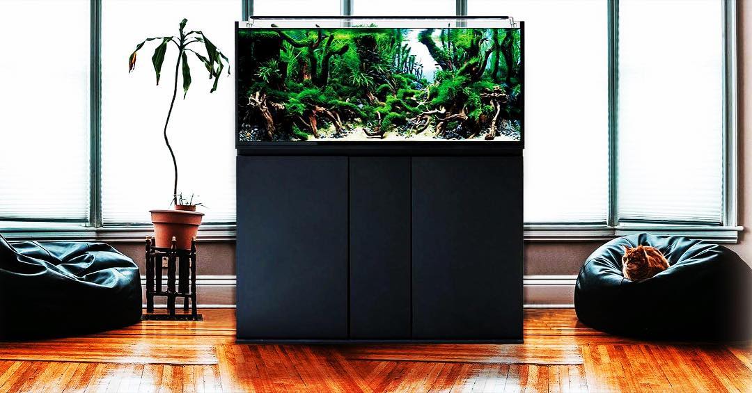 get_the_best_Aquarium_ad