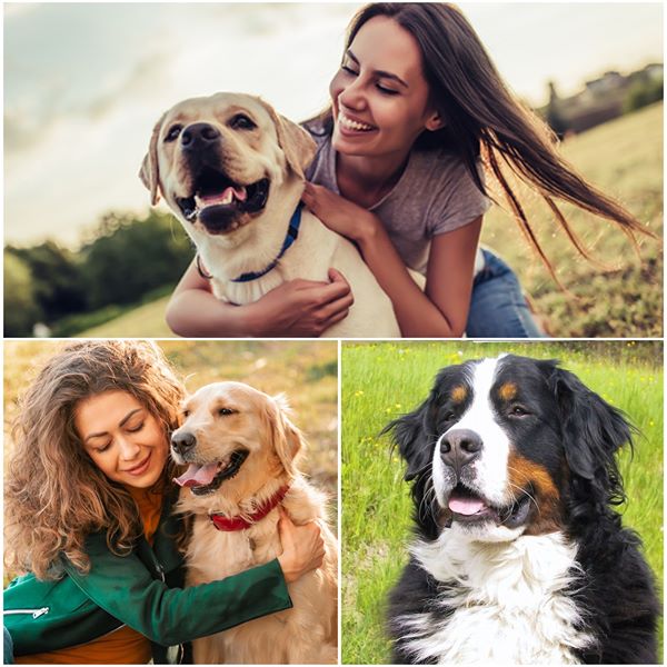 get_the_best_Cute Dog_ad