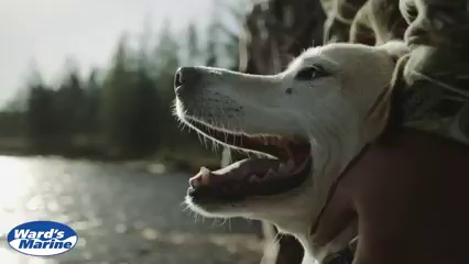 get_the_best_Argo_ad