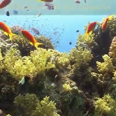 get_the_best_Aquarium_ad