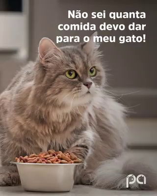 get_the_best_Animal Sex_ad