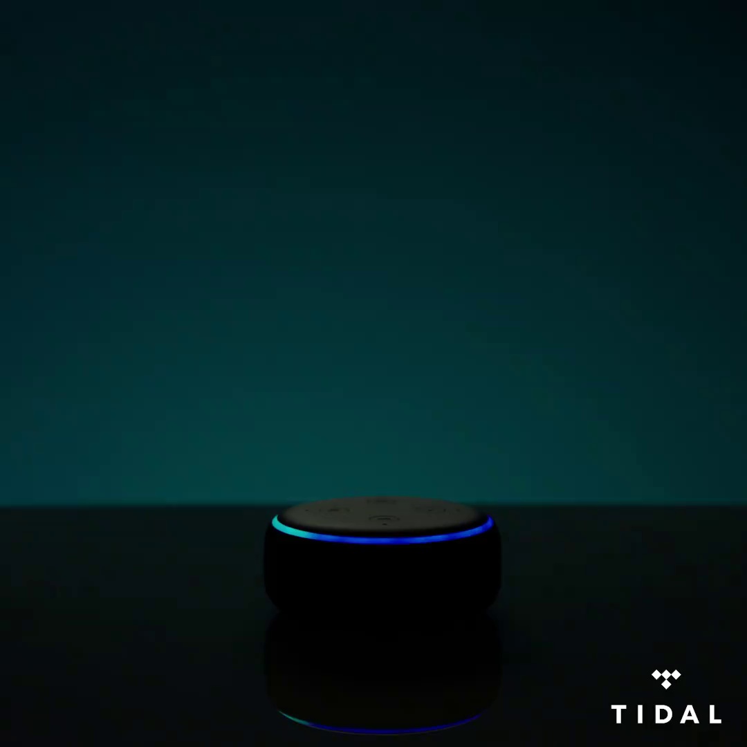 get_the_best_Amazon Echo_ad