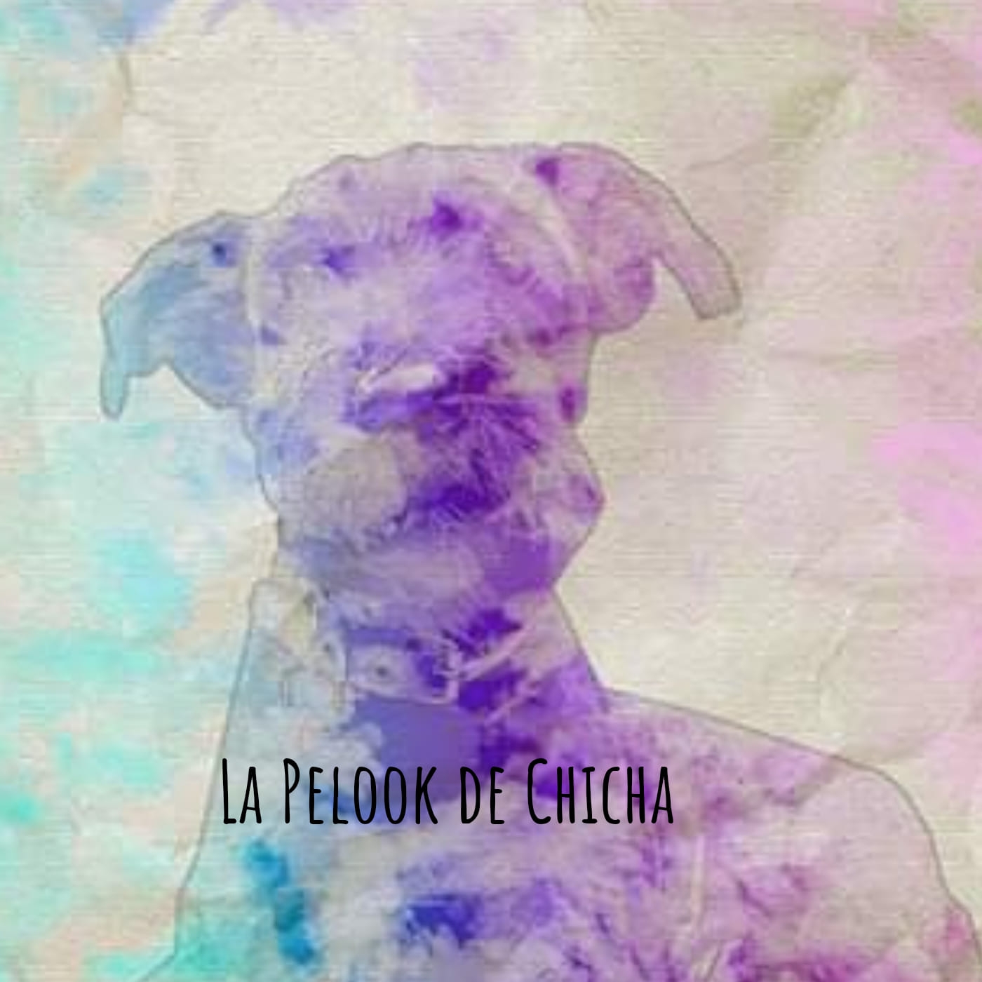 get_the_best_Chicha_ad