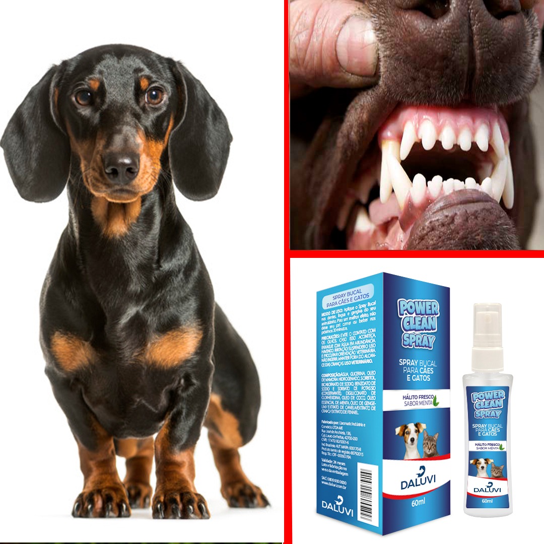 get_the_best_Higiene Bucal_ad