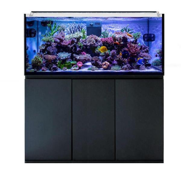 get_the_best_Aquarium_ad
