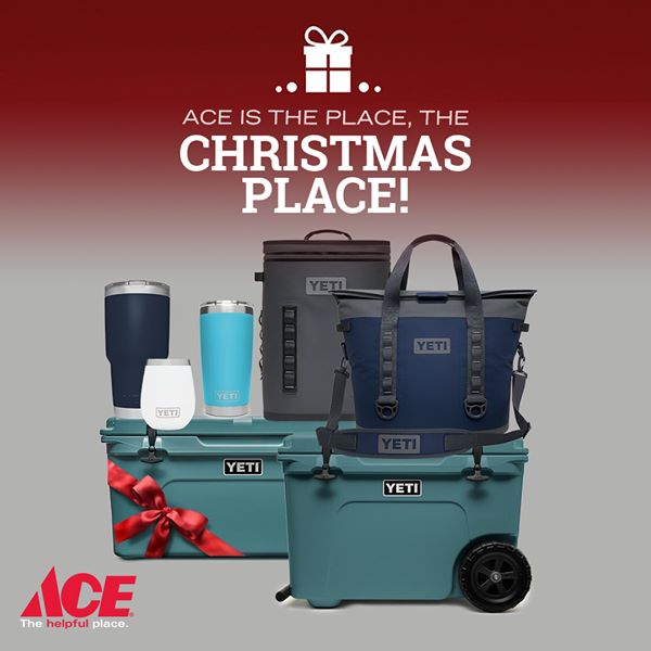 get_the_best_Ace Hardware_ad