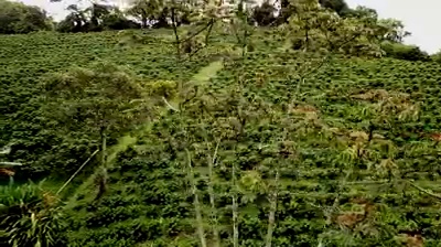 get_the_best_Cafetera_ad