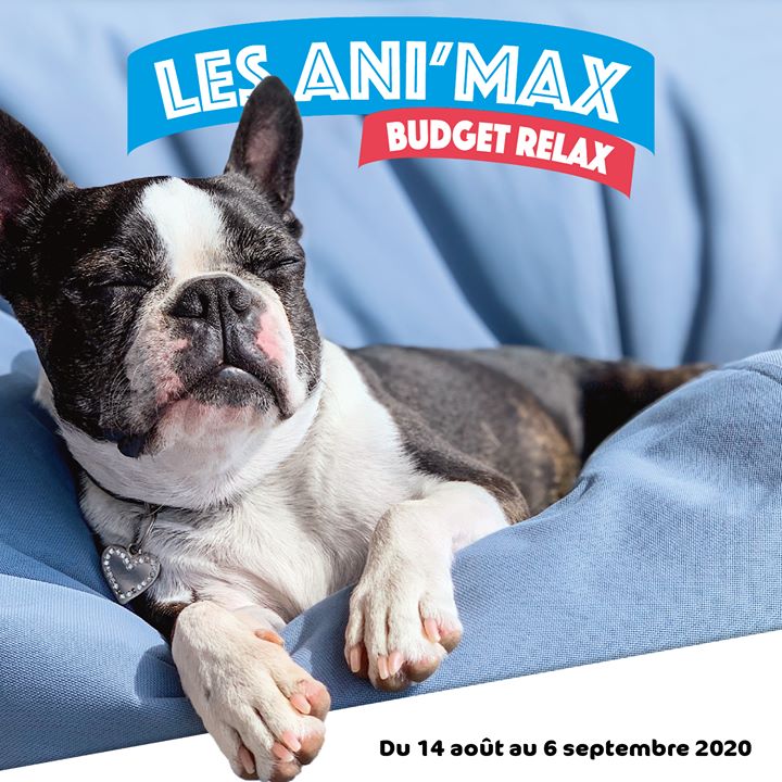 get_the_best_Animalis_ad