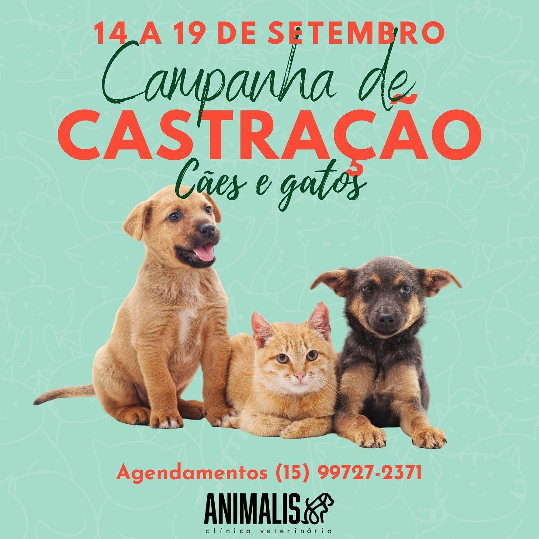 get_the_best_Animalis_ad