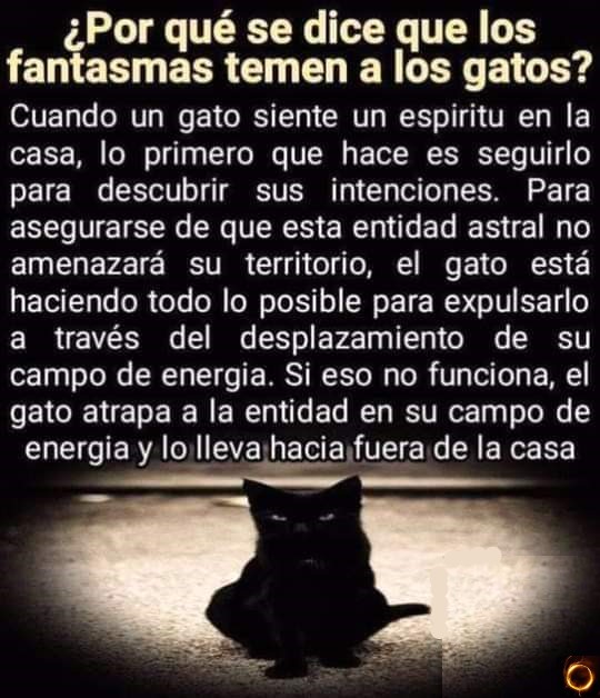 get_the_best_Ayahuasca_ad