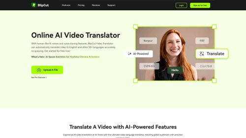 videotranslator.blip