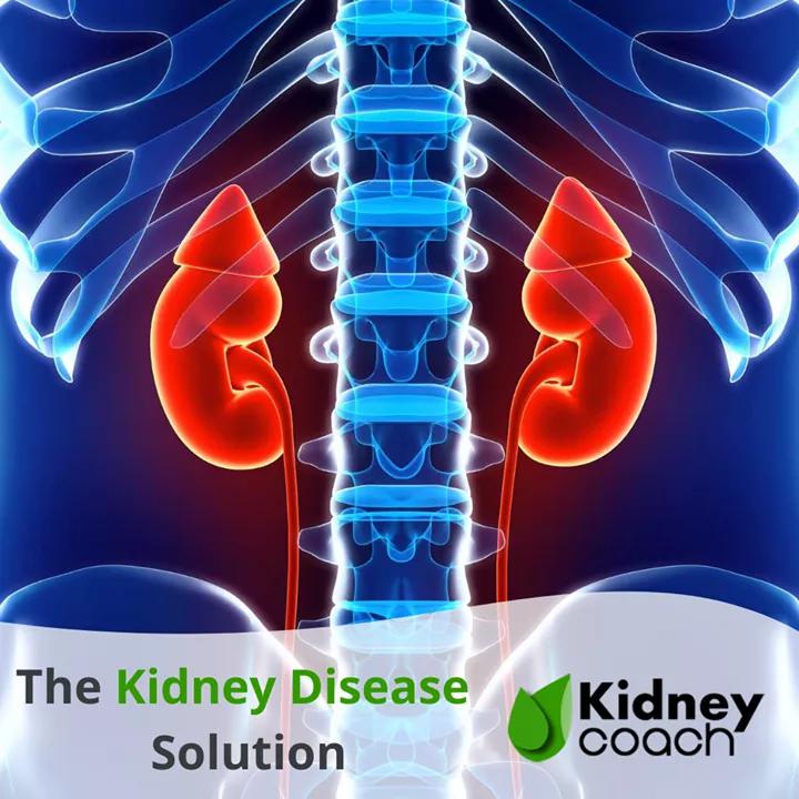 get_the_best_Creatinine Levels_ad