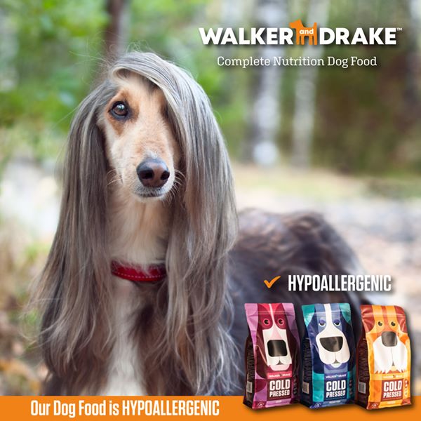 get_the_best_Hypoallergenic Dog_ad
